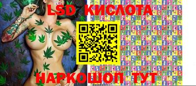 PSILOCYBIN Кулебаки