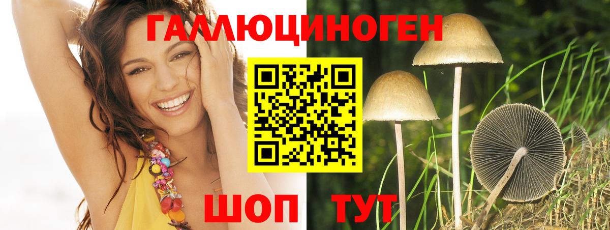Псилоцибиновые грибы мицелий  Вход с VPN  Шелехов 